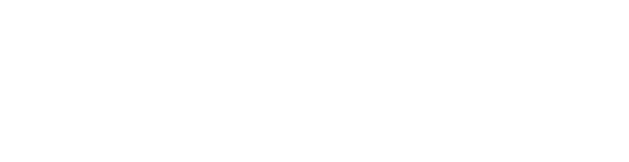 BlueCore Technology